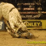 jason o'hearn takes a hit int he pbr world finals